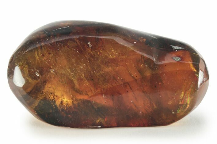 Polished Chiapas Amber ( grams) - Mexico #232583